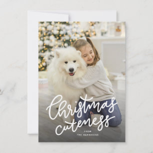 Cute pet holiday card