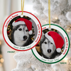 Cute Pet Memorial Keepsake 2 Dog Photo Christmas Ceramic Ornament