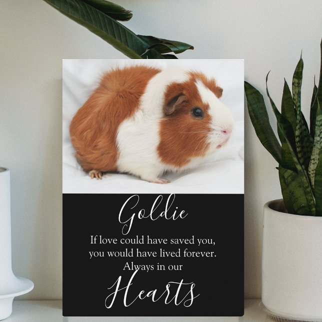 Cute Pet Memorial Plaque (Creator Uploaded)