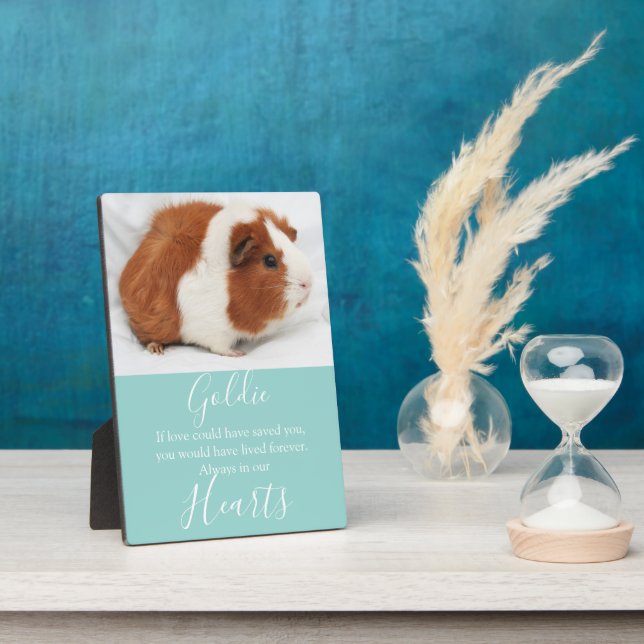 Cute Pet Memorial Plaque (Side)