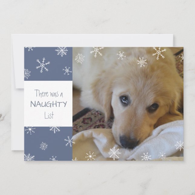 Cute Pet Naughty or Nice Snowflake Blue Holiday Card (Front)