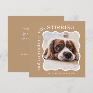 Cute Pet Photo Christmas Holiday Card