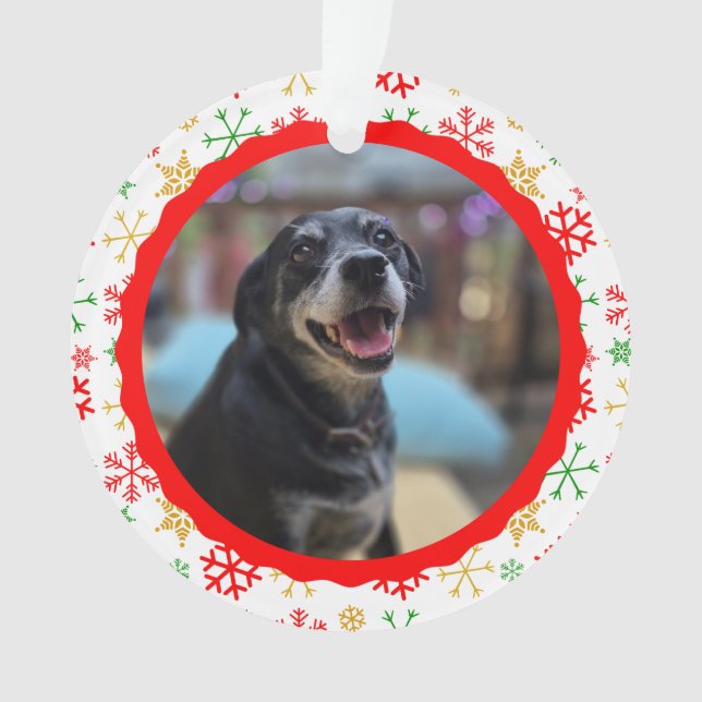 Cute Pet Photo, For Our Favorite Mailman Christmas Ornament (Front)