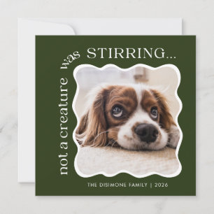 Cute Pet Photo Green Christmas Holiday Card