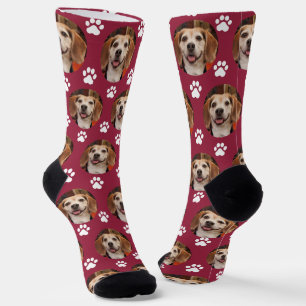 Cute Pet Photo & Paw Prints Cardinal Red Dog Cat  Socks