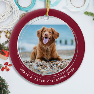 Cute Pet Photo Quarantine Red Dog Year in Review Ceramic Ornament