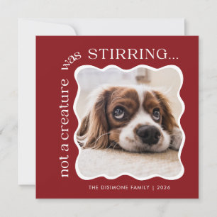 Cute Pet Photo Red Christmas Holiday Card