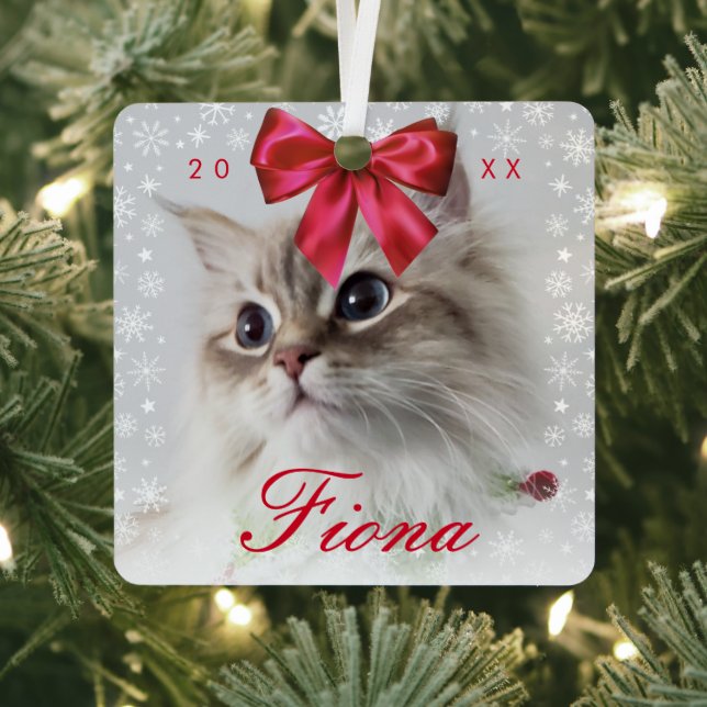 Cute Pet Photo | Snowflake Frame and Ribbon Bow Metal Ornament (Insitu)