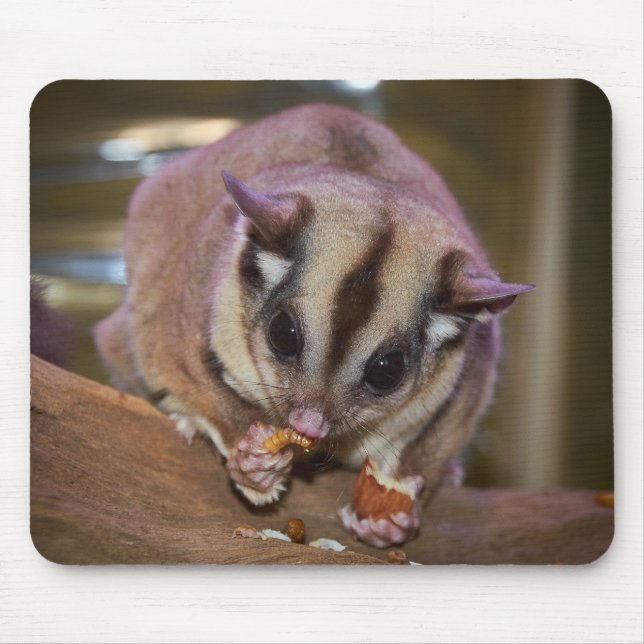 Cute Pet Sugar Glider Eating Mouse Pad (Front)
