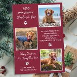 Cute Pet Year in Review Red Dog Photo Collage Holiday Card<br><div class="desc">Introducing our newest holiday cards collection, perfect for animal lovers and pet owners! Our "Pawsitively Wonderful Year" cards showcase your furry family members in a cute, modern, and funny way. These cards are stylish and festive, featuring a photo collage of your family pets throughout the year. Our cards are designed...</div>