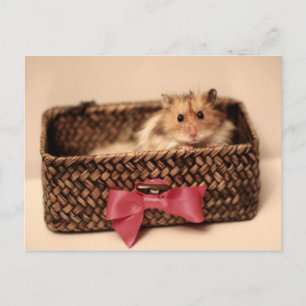 Cute PetL0ve postcard