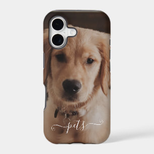 Cute pets photo for remember