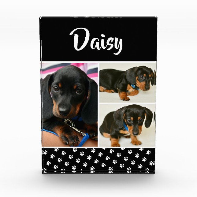 Cute Photo Collage Pet Dog Name (Front)