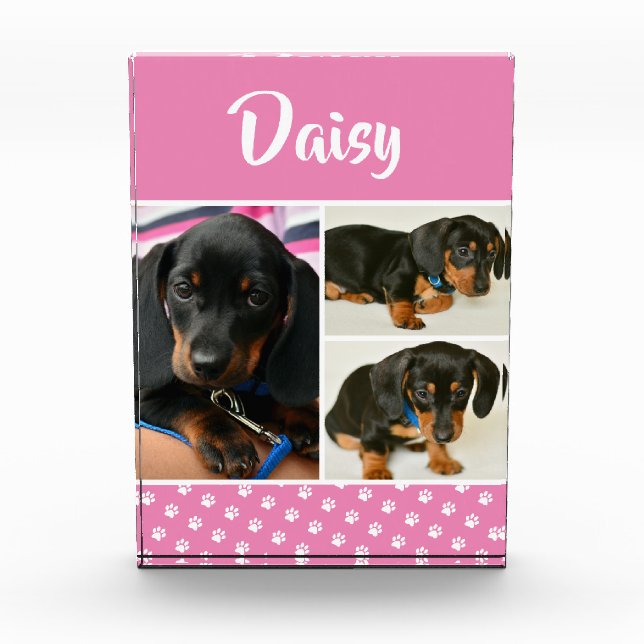 Cute Photo Collage Pet Dog Name (Front)