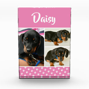 Cute Photo Collage Pet Dog Name Block
