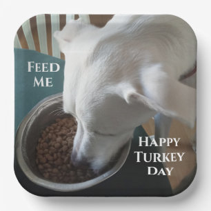 Cute Photo of Hungry Dog Who Can't Wait to Eat Paper Plate