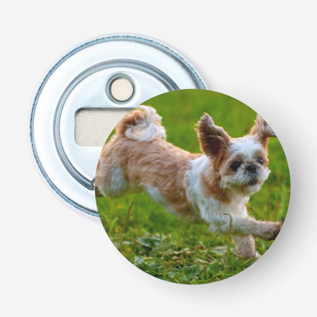 Cute Photo Running Shih Tzu Dog Bottle Opener (Front)