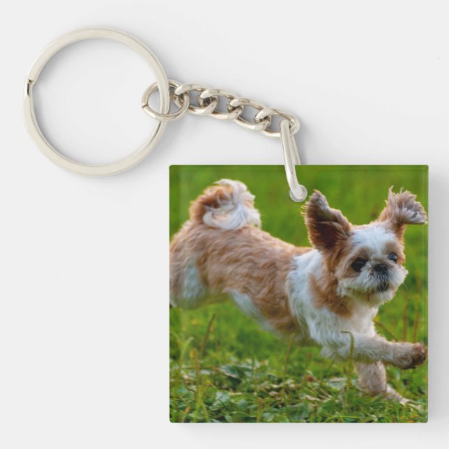 Cute Photo Running Shih Tzu Dog Keychain (Front)