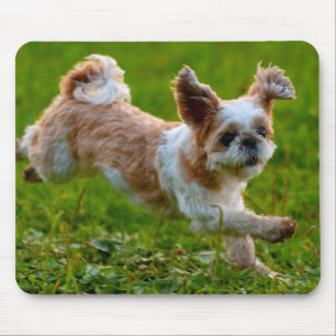 Cute Photo Running Shih Tzu Dog Mouse Pad