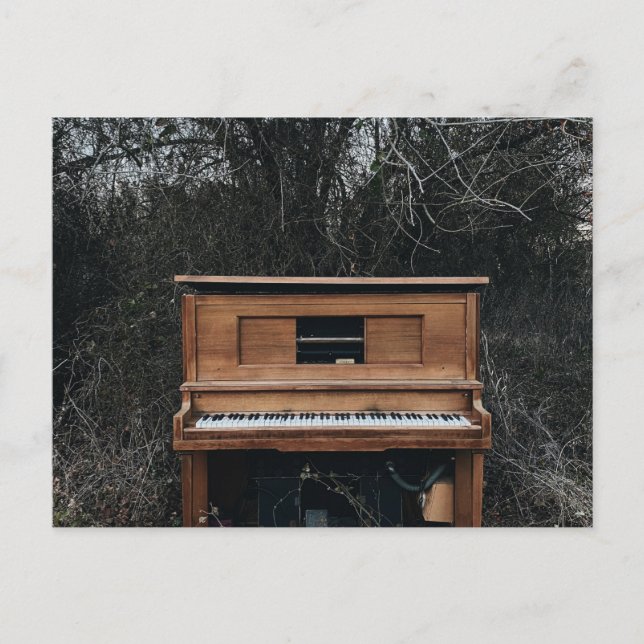 Cute Piano Postcard (Front)