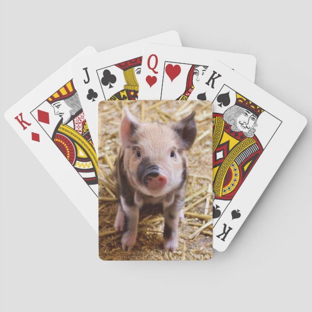 Cute Pic of a baby Pig Playing Cards (Back)
