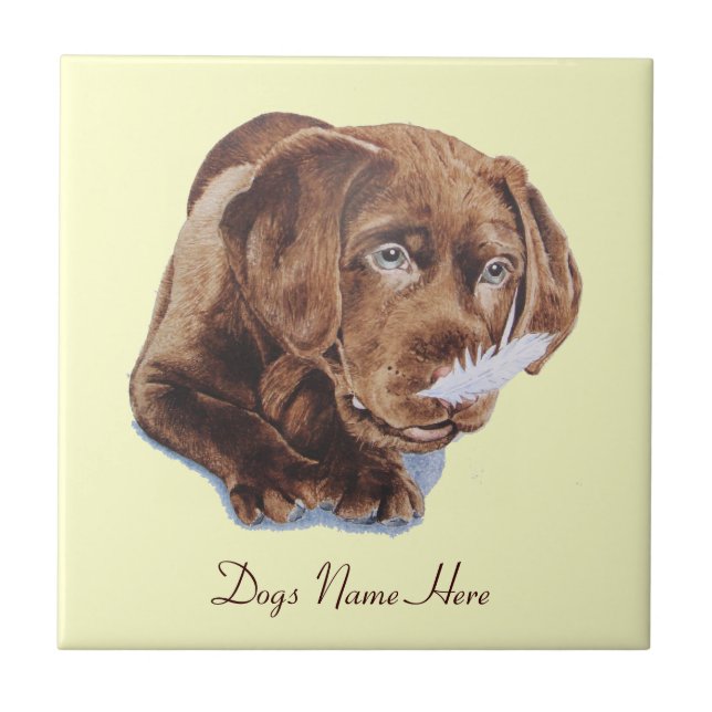 cute picture of brown labrador retriever puppy tile (Front)