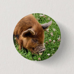 CUTE PIG  1 INCH ROUND BUTTON