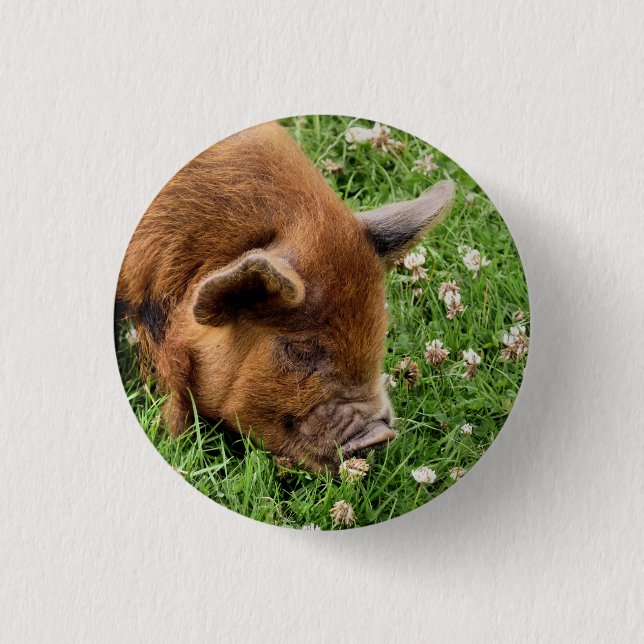 CUTE PIG  1 INCH ROUND BUTTON (Front)
