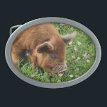 CUTE PIG  BELT BUCKLE<br><div class="desc">A photographic design of a very cute kunekune pig.</div>