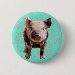 Cute Pig - Blue & Pink Swirls 2 Inch Round Button