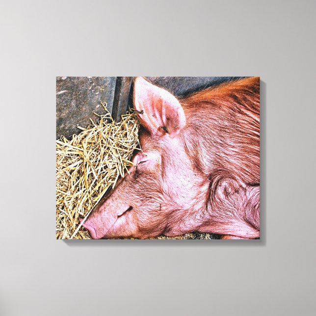 CUTE PIG CANVAS PRINT (Front)