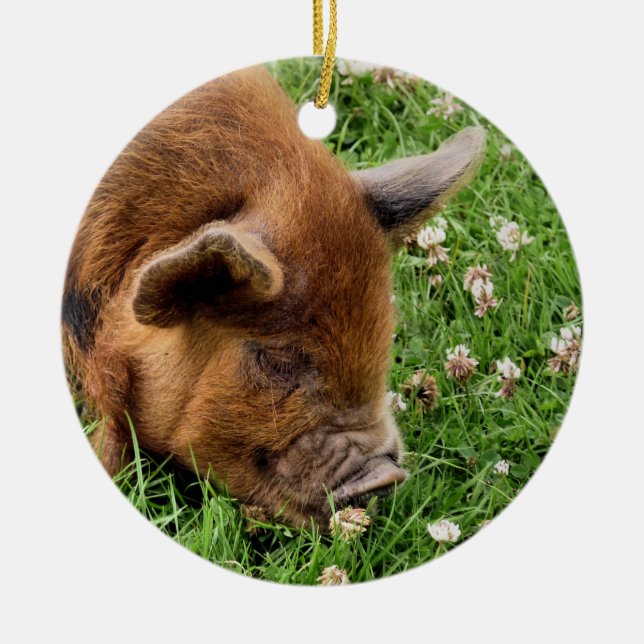 CUTE PIG   CERAMIC ORNAMENT (Front)