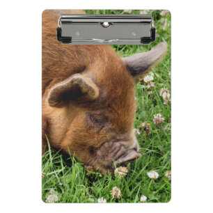 CUTE PIG   CLIPBOARD