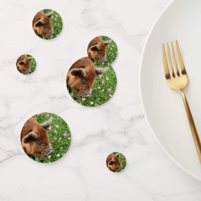 CUTE PIG   CONFETTI (Group)