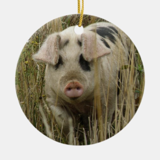 Cute Pig Custom Birthday Ceramic Ornament (Front)