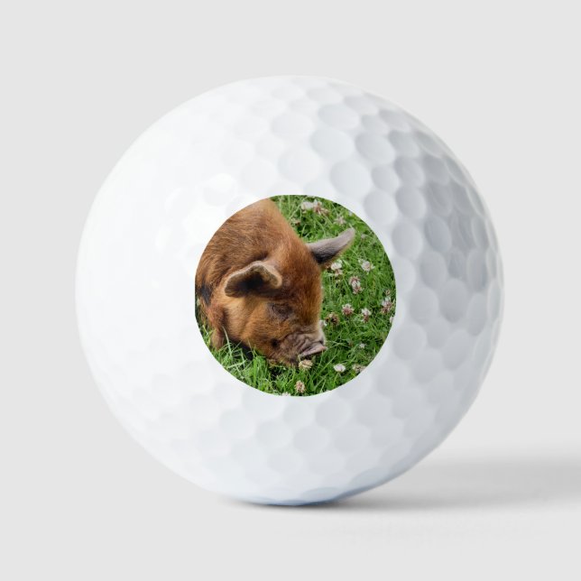 CUTE PIG    GOLF BALLS (Front)