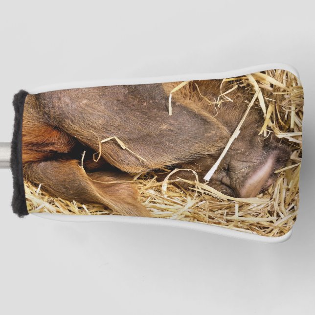 CUTE PIG GOLF HEAD COVER (Front)