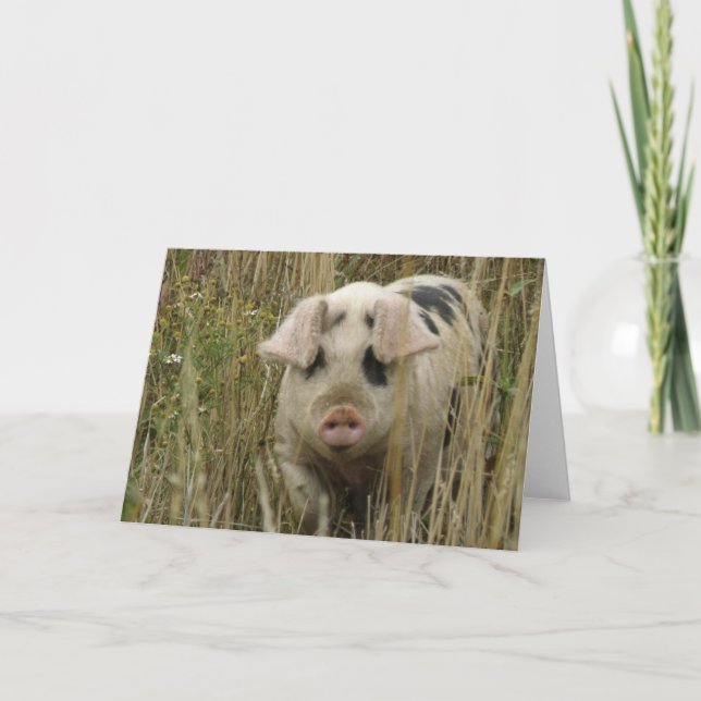 Cute Pig Greeting Card (Front)