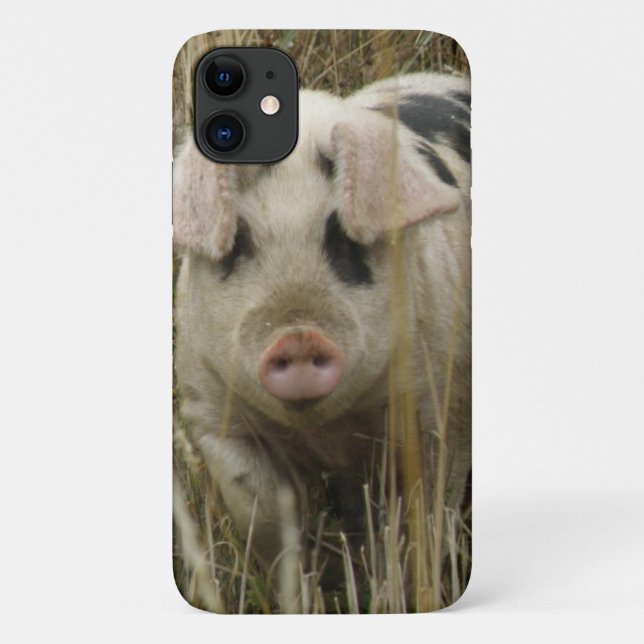 Cute Pig iPhone 3 Case (Back)