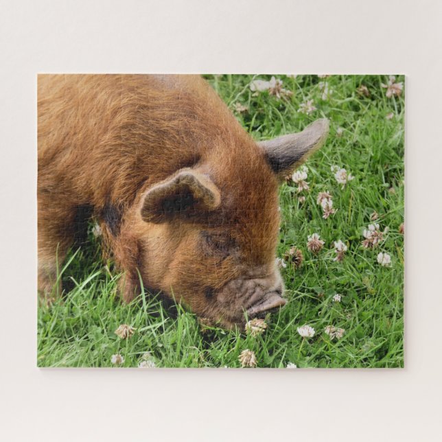 CUTE PIG  JIGSAW PUZZLE (Horizontal)