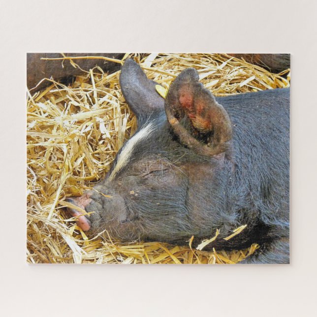 CUTE PIG JIGSAW PUZZLE (Horizontal)