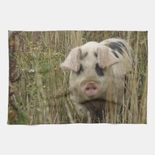 Cute Pig Kitchen Towel