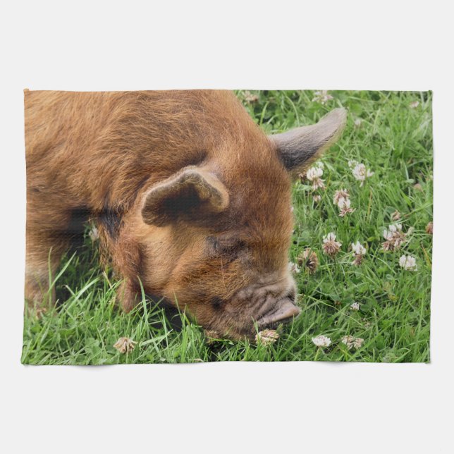 CUTE PIG   KITCHEN TOWEL (Horizontal)