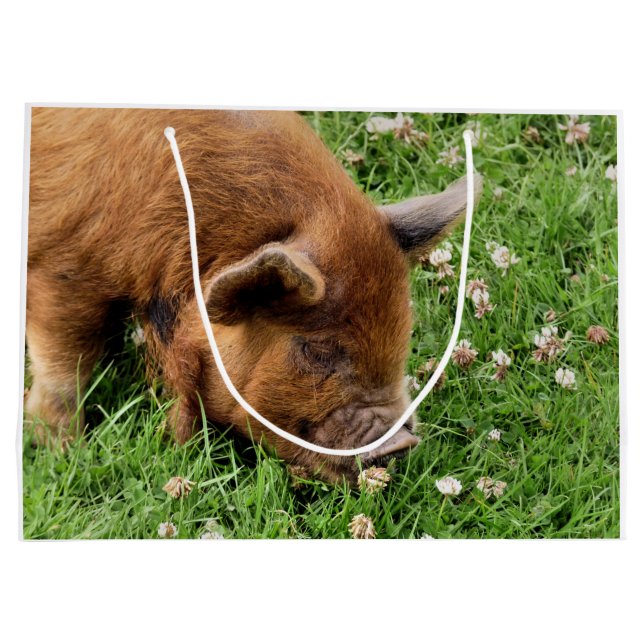 CUTE PIG  LARGE GIFT BAG (Back)