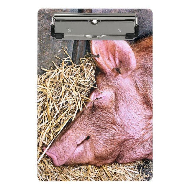 CUTE PIG MINI CLIPBOARD (Front)