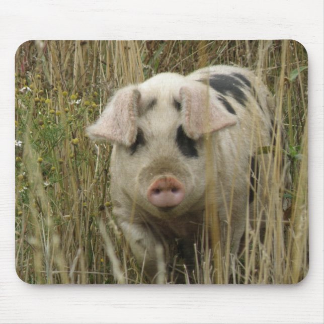 Cute Pig Mousepad (Front)