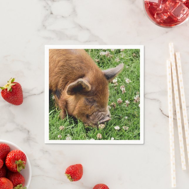CUTE PIG  NAPKIN (Insitu)
