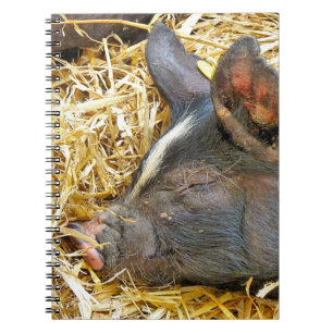 CUTE PIG NOTEBOOK