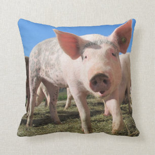 Cute Pig Pillow