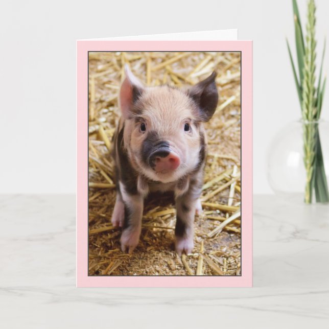 Cute Pig Pink Birthday Card (Front)